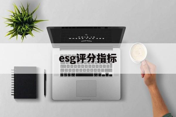 esg评分指标(essdai评分表)