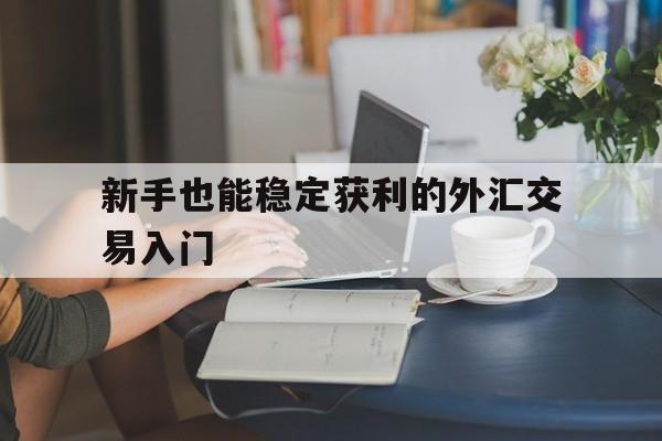 包含新手也能稳定获利的外汇交易入门的词条